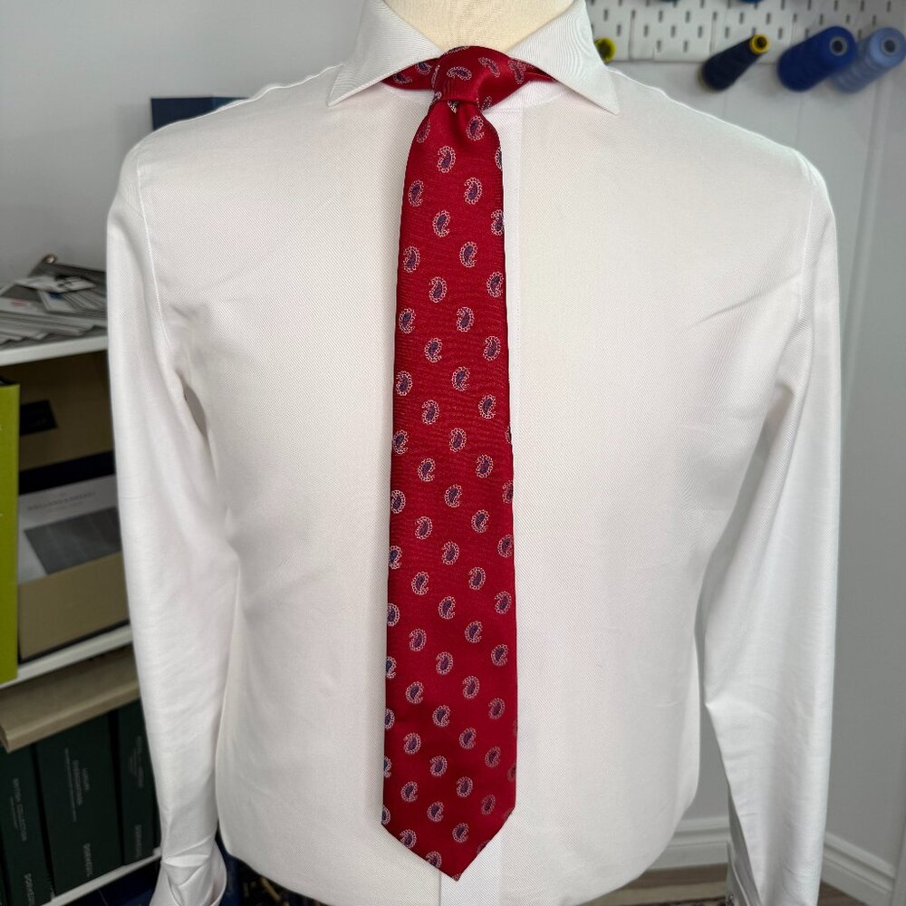 Gorgeous Paisley Tie